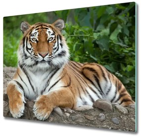 Üveg vágódeszka szibériai tigris 60x52 cm