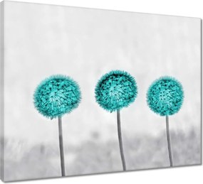 Vászonkép 50x40 Türkiz pitypang virág