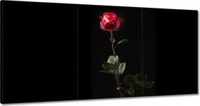 Vászonkép 180x90 Vízcseppek a rózsán