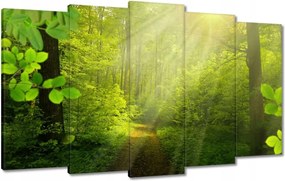 Vászonkép 100x60 Varázslatos erdő Sugárzás
