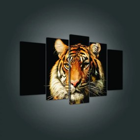 Vászonkép 5 darabos, Tigris portré 100x60 cm méretben