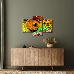 Kép - Kaméleon (90x60 cm)