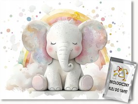 Fotótapéta Flizelina Elefánt Szivárvány Felhők Álom Mese 250x175 ragasztó