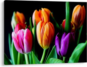 Tulipánok képe fekete alapon (70x50 cm)