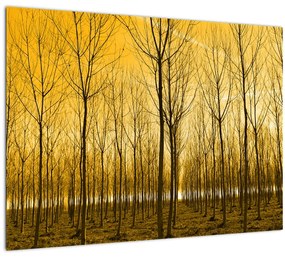Egy erdő naplementekor képe (üvegen) (70x50 cm)