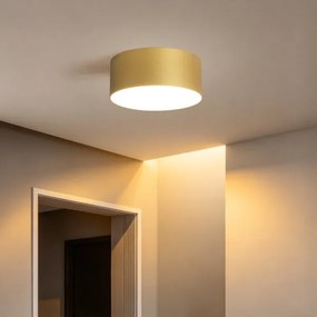 BRILAGI -LED Fürdőszobai mennyezeti lámpatest FORIS LED/20W/230V átmérő 15 cm aranyszínű IP44