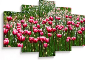 Tulipán képe (150x105 cm)