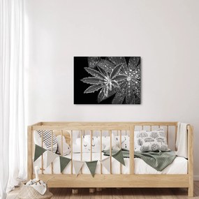 Kép - Levelek cseppekkel (70x50 cm)