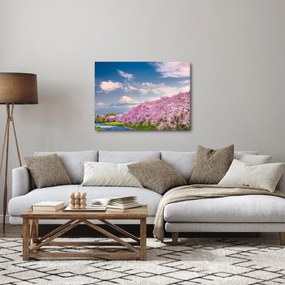 Kép - Japán tavaszi táj (70x50 cm)