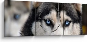 Husky kutya kép (órával) (90x30 cm)