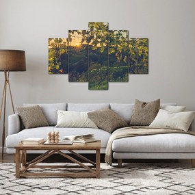 Kép - szőlőültetvény (150x105 cm)