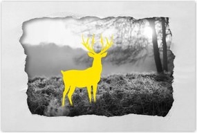 Poszter 60x40 Sárga szarvas Erdő Tájkép