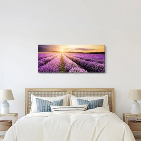 Kép - Napfelkelte levendulamezőn (120x50 cm)