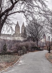 Poszter 50x70cm Ösvény a központi parkon át 2, Assaf Frank