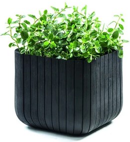 Műanyag virágcserép Cube – Keter