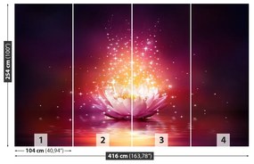 Fotótapéta Lotus csillag 104x70 cm