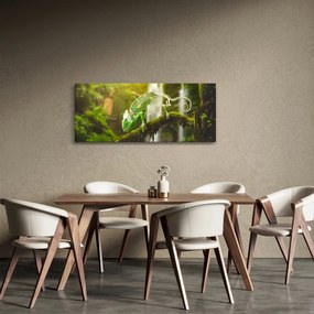 Kaméleon képe (120x50 cm)