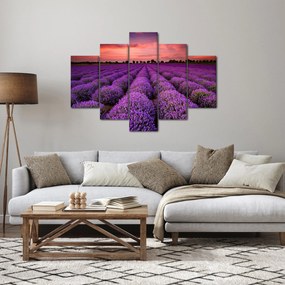 Kép - Levendula mező (150x105 cm)