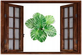 Poszterek 90x60 Lyukas szörny levelek