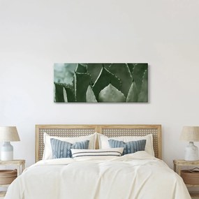 Kép - Zöld agávé (120x50 cm)