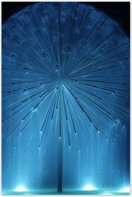 Poszterek 80x120 Pitypang Virág Virágok