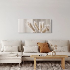 Kép - Nyúl farok (120x50 cm)