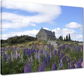 Vászonkép 50x40 Lila virágok domb