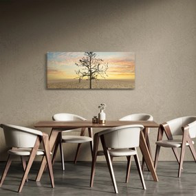 Kép - fa a sivatagban (120x50 cm)