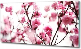 Fotó üvegkép Pitypang mag 100x70