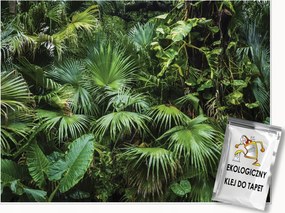 Fotótapéta Dzsungel Erdő Trópusi Levelek Hálószoba Nappali Tapéta 150x105