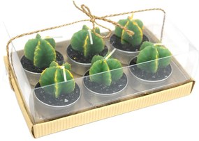 Kaktusz mécses - Szerzetes