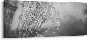 Kép - Mező az eső után (120x50 cm)
