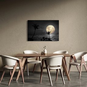 Kép - A strand a telihold alatt szürke tónusokkal (90x60 cm)