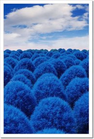 Poszterek keretben 40x60 Klasszikus kék színben