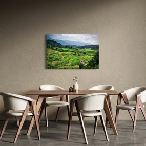 Rizsmező képe (90x60 cm)