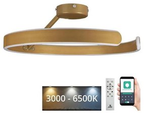 NEDES LED állítható mennyezeti lámpa LED/72W/230V 3000-6500K arany + DO ND4034