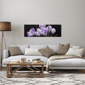 Kép - Lila krókuszok (órával) (90x30 cm)
