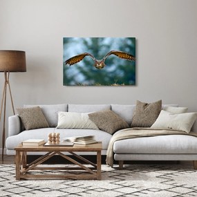 Kép - Bagoly repülés közben (90x60 cm)