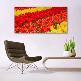 Vászonfotó tulipán virágok 125x50 cm