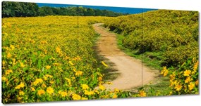 Festmények 120x60 Falusi tejút