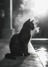 Poszter 25x35cm Macskaszünet