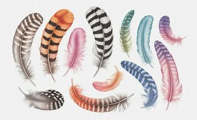 Divatos Flizelin Tapéta Ragasztóval Fali 3D Pasztell tollak 416x254 Ragasztó