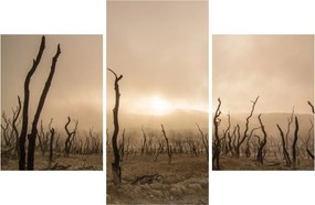 Kép - Csupasz fák (90x60 cm)