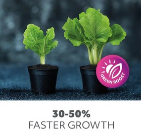 LED állítható asztali növénylámpa VITARO 3xLED/10W/230V fekete