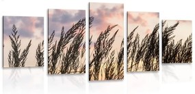 5-részes kép fű a naplementénél