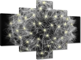 Vászonkép 100x70 Pitypang Virág Virágok