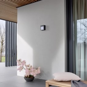 Brilagi-LED kültéri fali lámpa szenzorral TERNI LED/12W/230V antracit IP44