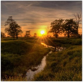 Poszterek 100x100 Lenyugvó nap Rogalin