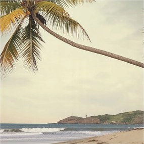 Fotótapéta Flizelin Dekoratív Hálószoba Trópusi tájkép 250x250