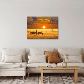 Kép - Zebrák naplementével (70x50 cm)